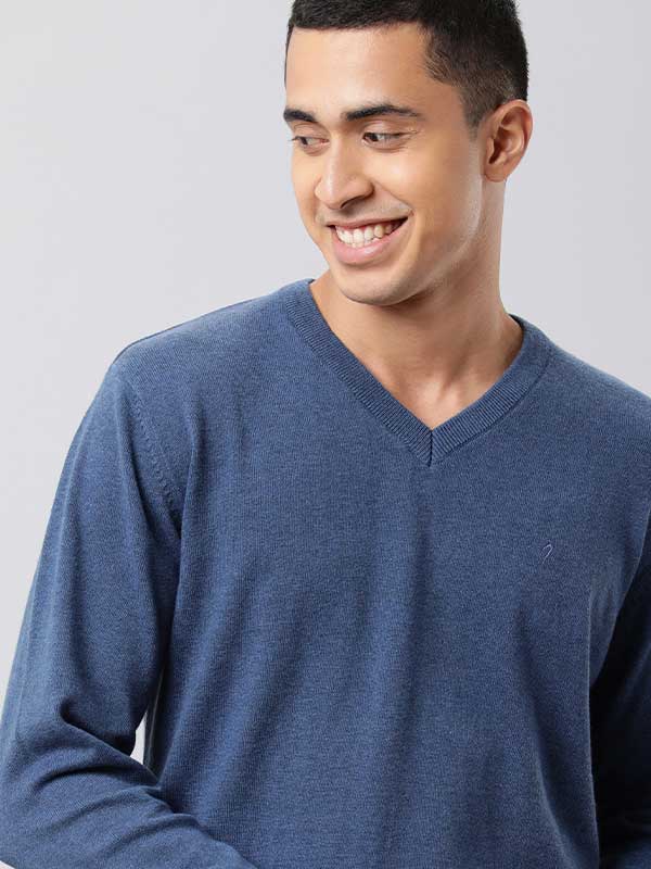 Men Solid Full Sleeve V-Neck Sweater - Main Image