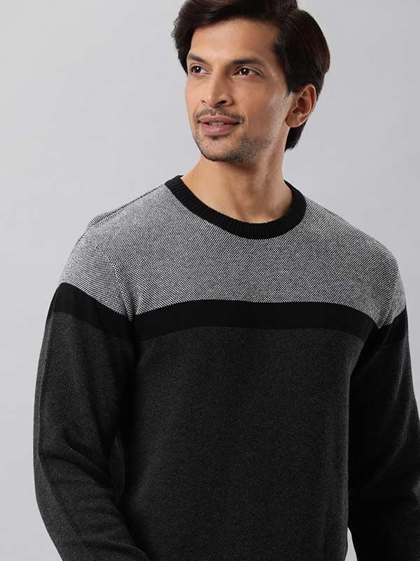 Men Striped Full Sleeve Crew Neck Sweater - Main Image