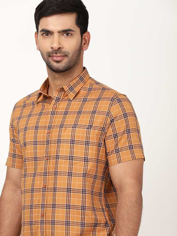 Light Brown